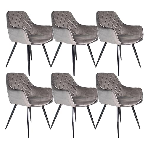 Kick Collection 6er Set Esszimmerstühl Monza - Grau - Modern und Hochwertig - Samtstoff und Metall - Erhältlich in vielen Farben von Kick Collection