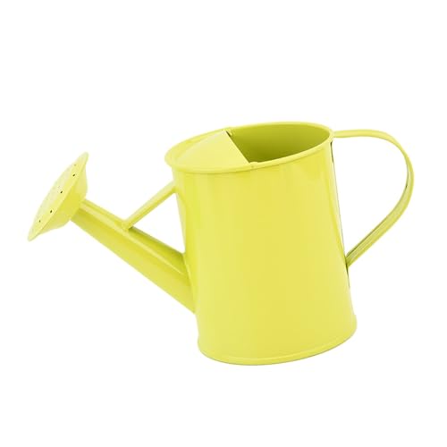 Eisenwässerung Dose 20oz Breites Ausgabetöpfe Ergonomische Design Für Effiziente Wasserströme Kontrolle Für Hausgartengarten Dekore von KieTeiiK