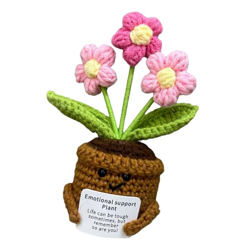 KieTeiiK Häkeln Topf Pflanze Set | Anfänger Freundliche Bastelkits Mit Illustriertem Tutorial & Natural Cotton Family Bonding Handwerksaktivität KieTeiiK Häkeln Topf Pflanze Set | Anfänger Freundliche Bastelkits Mit Illustriertem Tutorial & Natural Cotton Family Bonding Handwerksaktivität von KieTeiiK