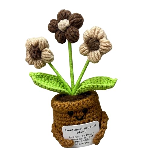 KieTeiiK Häkeln Topf Pflanze Set | Anfänger Freundliche Bastelkits Mit Illustriertem Tutorial & Natural Cotton Family Bonding Handwerksaktivität KieTeiiK Häkeln Topf Pflanze Set | Anfänger Freundliche Bastelkits Mit Illustriertem Tutorial & Natural Cotton Family Bonding Handwerksaktivität von KieTeiiK