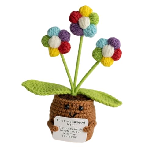 KieTeiiK Häkeln Topf Pflanze Set | Anfänger Freundliche Bastelkits Mit Illustriertem Tutorial & Natural Cotton Family Bonding Handwerksaktivität KieTeiiK Häkeln Topf Pflanze Set | Anfänger Freundliche Bastelkits Mit Illustriertem Tutorial & Natural Cotton Family Bonding Handwerksaktivität von KieTeiiK