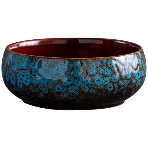 KieTeiiK Simple Highstemperatur Keramik Pflanzer Schüssel Behälter Haus Verwendet Für Den Anbau Von Blumen Und Erziehen Von Fisch Dekorativen Pflanzen Topf KieTeiiK Simple Highstemperatur Keramik Pflanzer Schüssel Behälter Haus Verwendet Für Den Anbau Von Blumen Und Erziehen Von Fisch Dekorativen Pflanzen Topf von KieTeiiK