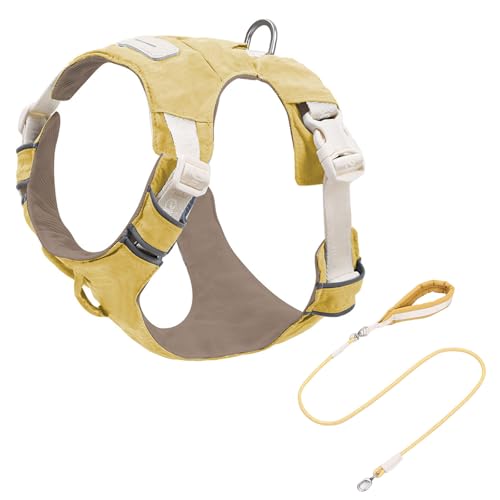 Reflektierende Verstellbare Hundekabelbaum Und Set Mit Weicher Polsterung Atmungsaktive Weste Für Gehen Freien Reflektierende Sicherheitshundkabelbaum Freien Läuft Reflektierende Verstellbare Hundekabelbaum Und Set Mit Weicher Polsterung Atmungsaktive Weste Für Gehen Freien Reflektierende Sicherheitshundkabelbaum Freien Läuft von KieTeiiK