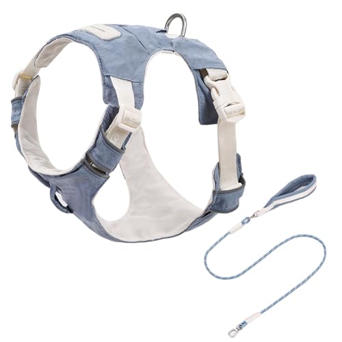 Reflektierende Verstellbare Hundekabelbaum Und Set Mit Weicher Polsterung Atmungsaktive Weste Für Gehen Freien Reflektierende Sicherheitshundkabelbaum Freien Läuft Reflektierende Verstellbare Hundekabelbaum Und Set Mit Weicher Polsterung Atmungsaktive Weste Für Gehen Freien Reflektierende Sicherheitshundkabelbaum Freien Läuft von KieTeiiK