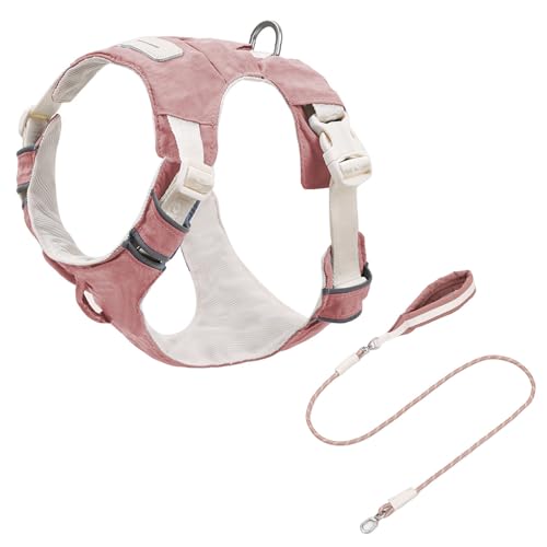 Reflektierende Verstellbare Hundekabelbaum Und Set Mit Weicher Polsterung Atmungsaktive Weste Für Gehen Freien Reflektierende Sicherheitshundkabelbaum Freien Läuft Reflektierende Verstellbare Hundekabelbaum Und Set Mit Weicher Polsterung Atmungsaktive Weste Für Gehen Freien Reflektierende Sicherheitshundkabelbaum Freien Läuft von KieTeiiK
