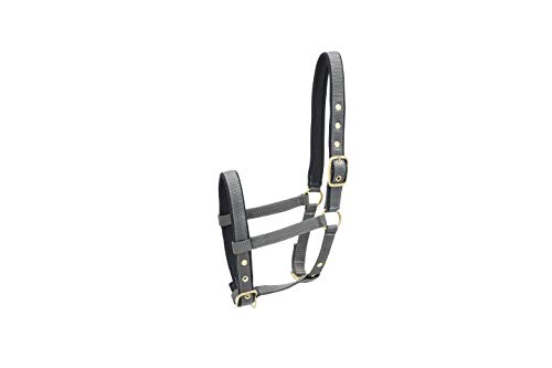 Kieffer Stallhalfter Nylon Fohlen von Kieffer