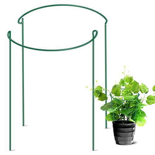 Pflanzenstütze Staudenhalter Metall, 2 Stück Grün Staudenhalter Rund Blumenhalter Rankengewächs Pflanzenstütze Blumenstütze Staudenstütze Rankhilfe Strauchhalter Rosenstütze für Pflanzen, Garten Pflanzenstütze Staudenhalter Metall, 2 Stück Grün Staudenhalter Rund Blumenhalter Rankengewächs Pflanzenstütze Blumenstütze Staudenstütze Rankhilfe Strauchhalter Rosenstütze für Pflanzen, Garten von Kielsjajd