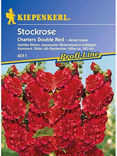 Alcea rosea Stockrosen Stockmalve Chaters Double Red von Kiepenkerl - Blumen-Saatgut