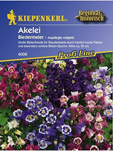Aquilegia vulgaris Akelei Biedermeier von Kiepenkerl - Blumen-Saatgut
