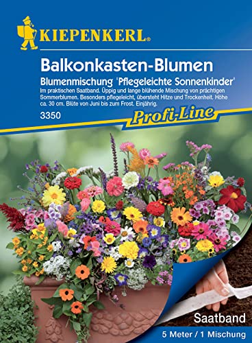 Blumenmischung Balkonkastenblumen pflegeleichte Sonnenkinder Mischung Saatband von Kiepenkerl - Blumen-Saatgut