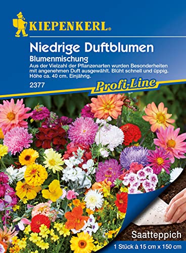 Blumenmischung Niedrige Duftblumen Mix Saatteppich (15cm x 150cm) von Kiepenkerl - Blumen-Saatgut