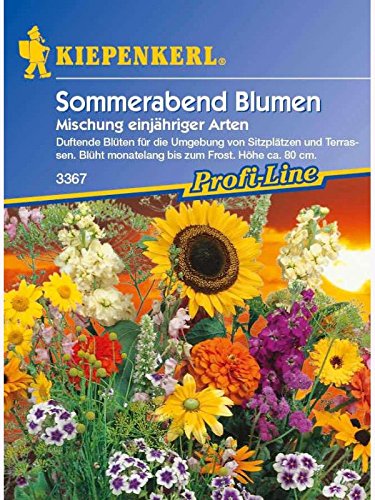 Blumenmischung Sommerabendblumen duftende Mischung einjähriger Arten von Kiepenkerl - Blumen-Saatgut