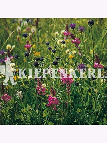 Blumenwiesen-Mischung nach L?BF Kleve-Kellen 1kg von Kiepenkerl - Blumen-Saatgut