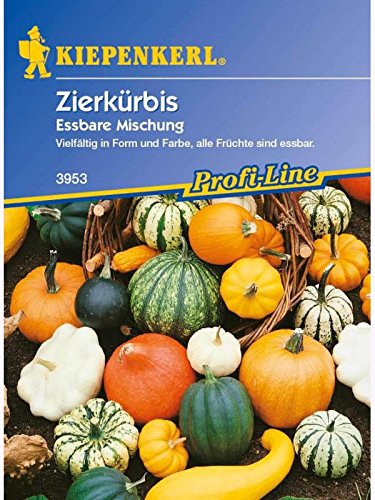 Cucurbita pepo Zierkürbis Essbare Zierkürbismischung von Kiepenkerl - Blumen-Saatgut