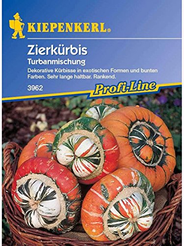 Cucurbita pepo Zierkürbis Turbanmischung von Kiepenkerl - Blumen-Saatgut