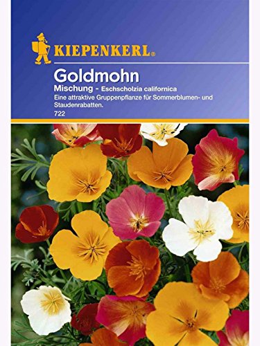 Eschscholzia Goldmohn Mischung von Kiepenkerl - Blumen-Saatgut
