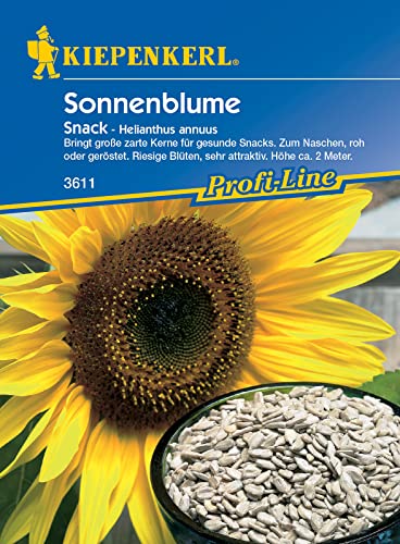 Helianthus annuus Sonnenblume Snack essbare Kerne von Kiepenkerl - Blumen-Saatgut
