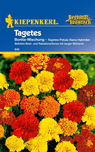 Kiepenkerl 0846 Tagetes patula niedrige Studentenblume Bonita-Mischung, Portionssaatgut, Inhalt reicht für ca.: 40 Pflanzen (1 Portion) von Kiepenkerl - Blumen-Saatgut