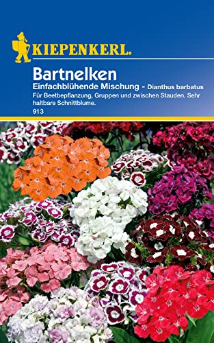 Kiepenkerl 0913 Dianthus barbatus Bartnelken einfach blühende Mischung, Portionssaatgut, Inhalt reicht für ca.: 50 Pflanzen (1 Portion) von Kiepenkerl - Blumen-Saatgut