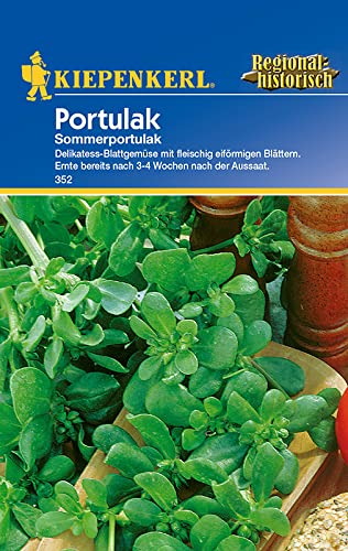 Kiepenkerl 352 Portionssaatgut Portulak Sommerportulak von Kiepenkerl - Blumen-Saatgut