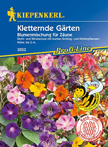Kiepenkerl 3852 Kletternde Gärten Kletterpflanzenmischung, Portionssaatgut, Inhalt reicht für ca.: 35 Pflanzen (1 Portion) von Kiepenkerl - Blumen-Saatgut