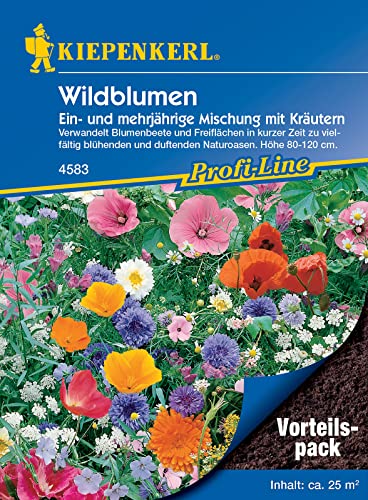 Kiepenkerl 4583 Wildblumenmischung mit Kräutern ein- und mehrjährige Mischung MEGA-PACK, Inhalt reicht für ca.: 25 m², lockt eine farbenprächtige Insektenwelt an, wie Schmetterlinge, Bienen, Hummeln von Kiepenkerl - Blumen-Saatgut