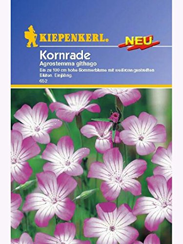Kiepenkerl Agrostemma githago Kornrade von Kiepenkerl - Blumen-Saatgut