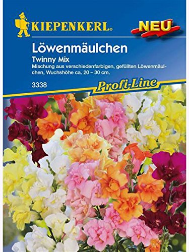 Löwenmäulchen Twinny Mix von Kiepenkerl - Blumen-Saatgut