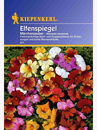 Nemesia strumosia Elfenspiegel Märchenzauber von Kiepenkerl - Blumen-Saatgut