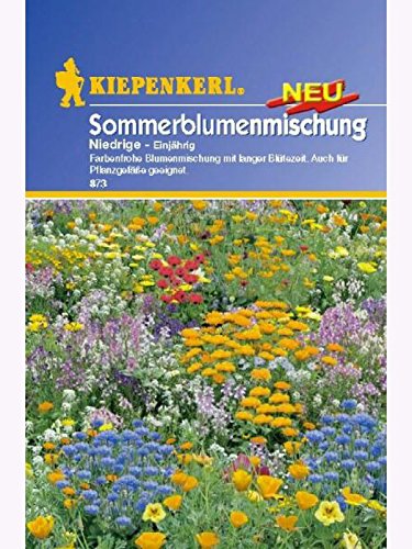 Niedrige Sommerblumenmischung einjährig von Kiepenkerl - Blumen-Saatgut