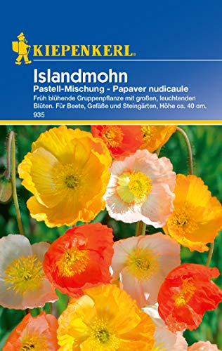 Papaver nudicaule Islandmohn pastellfarbende Mischung von Kiepenkerl - Blumen-Saatgut