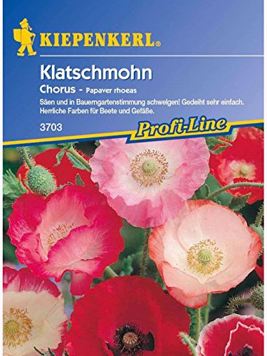Papaver rhoeas Klatschmohn Chorus halbgefüllte Mischung von Kiepenkerl - Blumen-Saatgut