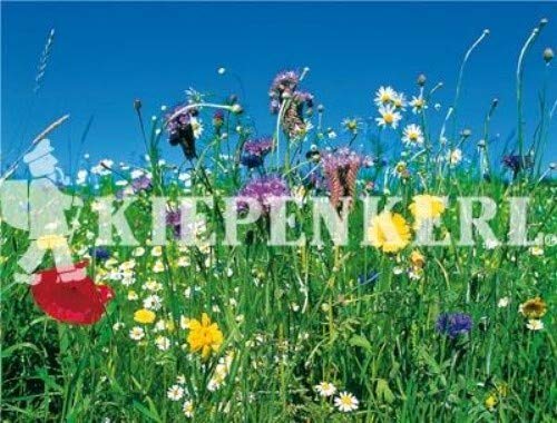 Reine Wildblumen und Kräutermischung 1kg-Großpackung von Kiepenkerl - Blumen-Saatgut