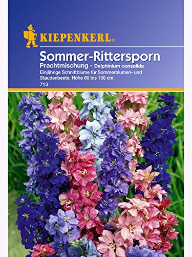 Rittersporn Delphinium Prachtmischung von Kiepenkerl - Blumen-Saatgut