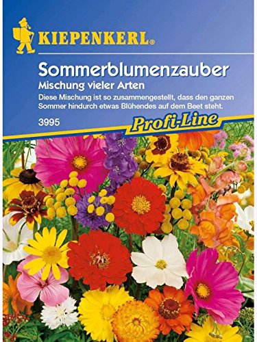 Sommerblumen-Zauber Mischung vieler Arten von Kiepenkerl - Blumen-Saatgut