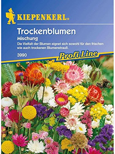 Trockenblumen Mischung von Kiepenkerl - Blumen-Saatgut