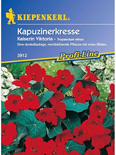 Tropaeolum majus Kapuzinerkresse Kaiserin Viktoria dunkellaubig von Kiepenkerl - Blumen-Saatgut