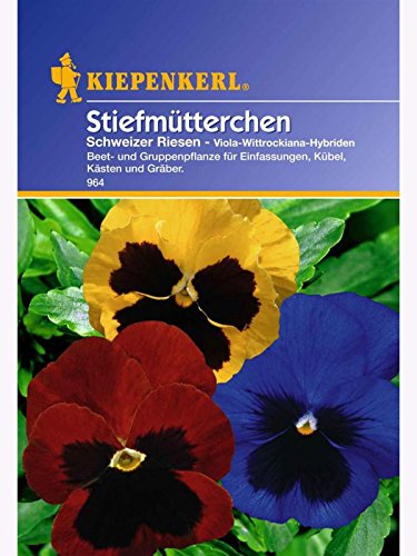 Viola Stiefmütterchen Schweizer Riesen Mischung von Kiepenkerl - Blumen-Saatgut