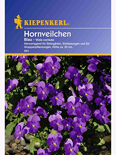 Viola cornuta Hornveilchen blau von Kiepenkerl - Blumen-Saatgut