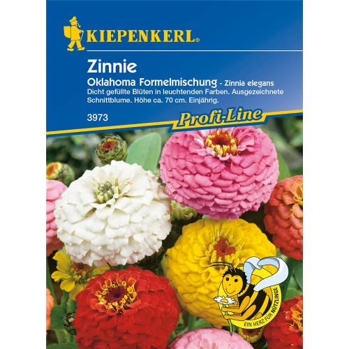 Zinnia elegans Zinnie Oklahoma-Formelmischung von Kiepenkerl - Blumen-Saatgut