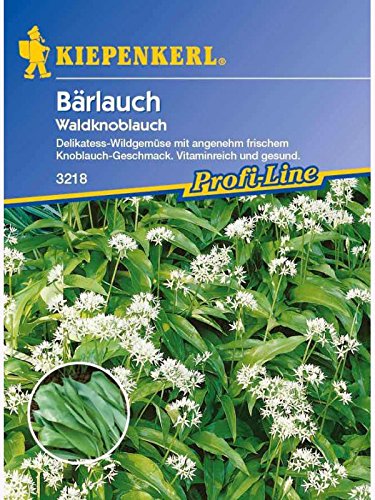 Bärlauch-Saatgut: Bärlauch / Waldknoblauch, Allium ursinum - 1 Portion von Kiepenkerl - Gemüse-Saatgut