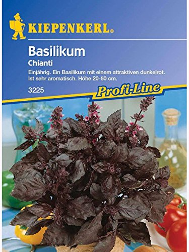 Basilikum Chianti Rotblättriges einjährig von Kiepenkerl - Gemüse-Saatgut