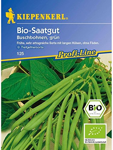 Buschbohnen Bio-Buschbohne grün (Maxi) Bio-Saatgut von Kiepenkerl