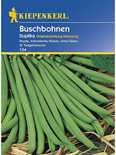 Buschbohnen Duplika von Kiepenkerl