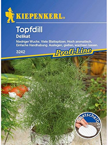 Dill Topfdill Delikat Saatscheiben von Kiepenkerl - Gemüse-Saatgut