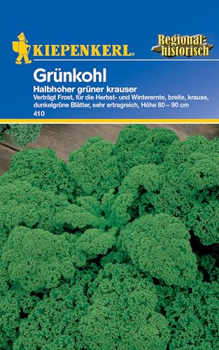 Kiepenkerl Grünkohlsamen Halbhoher grüner krauser 410 - Verträgt Frost, für die Herbst- und Winterernte - Gemüsesamen - Kohl Samen - Samen Gemüse - Saatgut Kiepenkerl Grünkohlsamen Halbhoher grüner krauser 410 - Verträgt Frost, für die Herbst- und Winterernte - Gemüsesamen - Kohl Samen - Samen Gemüse - Saatgut von Kiepenkerl