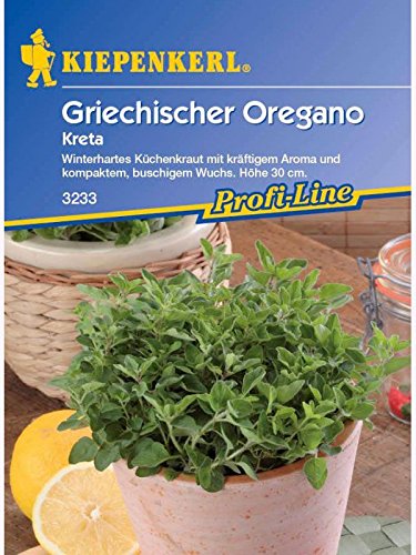 Oregano Griechischer Kreta von Kiepenkerl - Gemüse-Saatgut