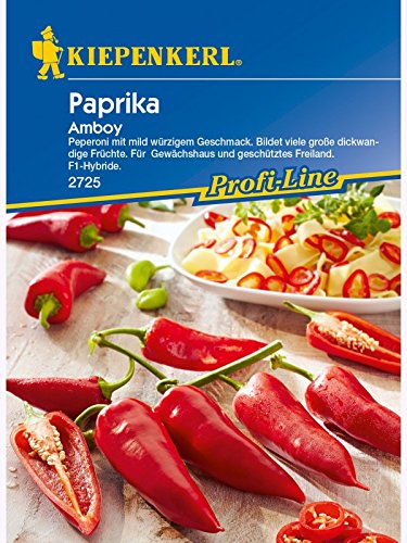 Paprika Peperoni Amboy von Kiepenkerl