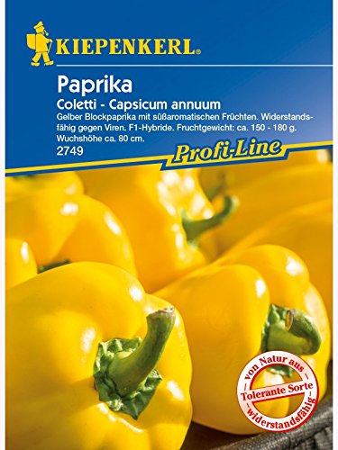 Paprika Tomatenpaprika Coletti von Kiepenkerl