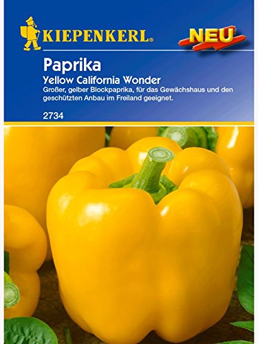 Paprika Yellow California Wonder von Kiepenkerl - Gemüse-Saatgut